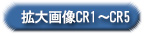 拡大画像CR1～CR5