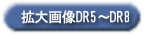 拡大画像DR5～DR8